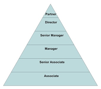Career Path Ladder