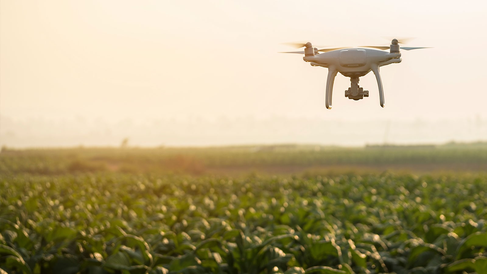 En drone flyr med natur i bakgrunnen