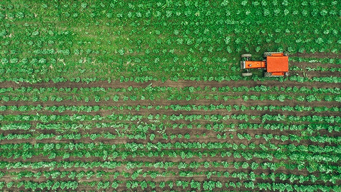 ¿Cómo impactan los riesgos climáticos en la producción de alimentos?