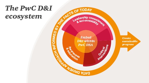 pwc diversity journey