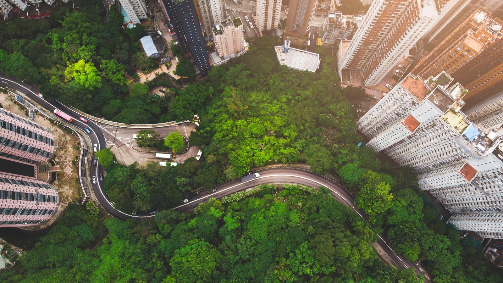 view from the sky city and nature