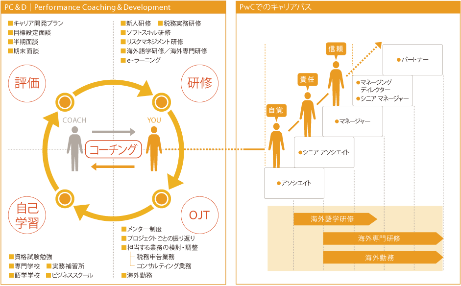 Pwc税理士法人 人材育成 Pwc Japanグループ