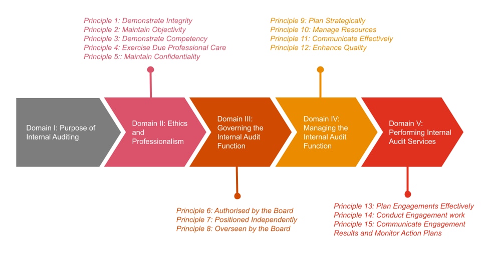 Enhancing the professional practice