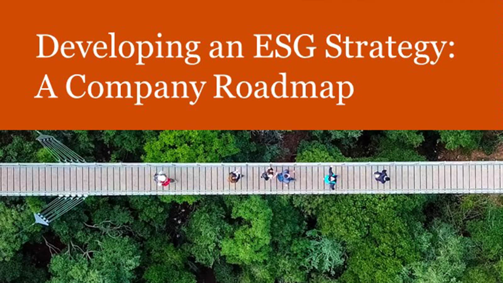 ESG strategy held for publicly listed companies