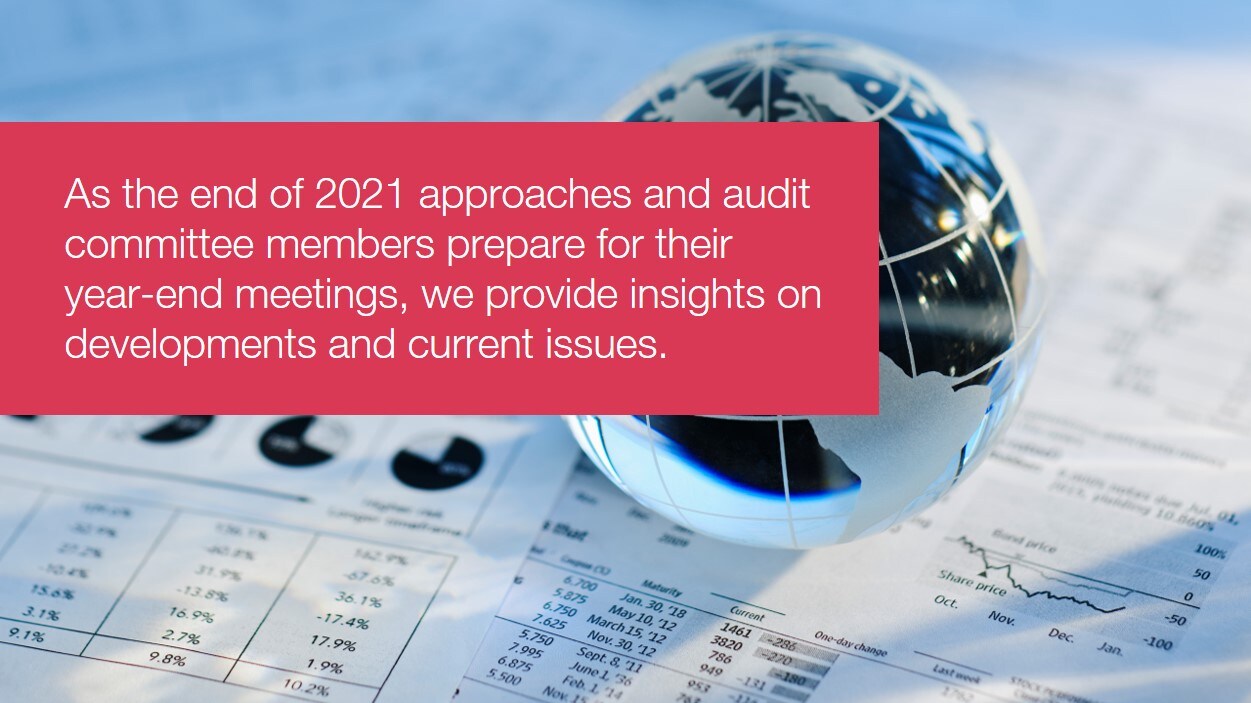 audit committee oversight process guidelines